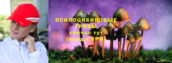 бутират Вяземский