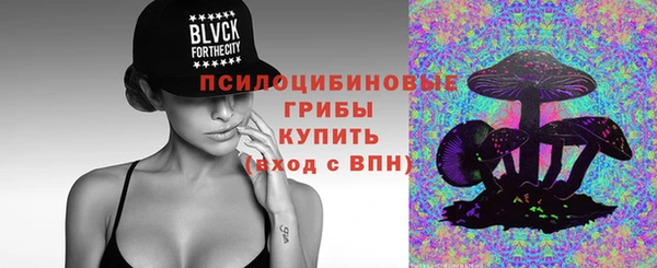 стаф Горно-Алтайск